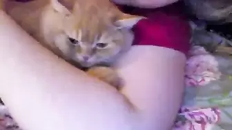 Pretty Cat Cam Show Porn
