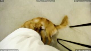 AlyssaShy - [Myfreecams] Spy Video Live Show whores