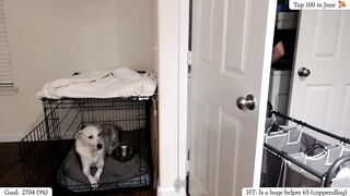 HurricaneLexi - [Myfreecams] Blowjob Horny Nice Boobs