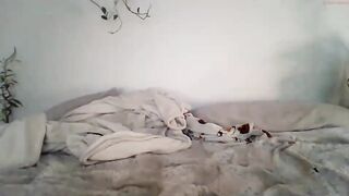 cloeclover - [Chaturbate] Dream Girl Webcam Model Roleplay