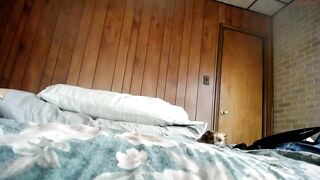 shirley59 - [Chaturbate] Porn Live Chat Wonderful babe