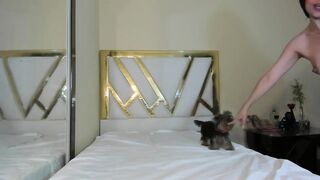 orianawillss - [Chaturbate] hole Crazyticket slut