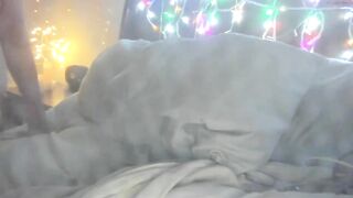 laceygrl - [Chaturbate] Nude Girl lesbian High Qulity Video