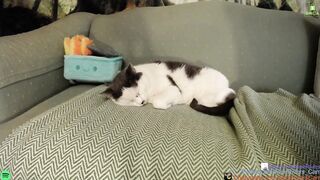 aliceriverscam - [Chaturbate] Hard Pvt gorgeous Private Video