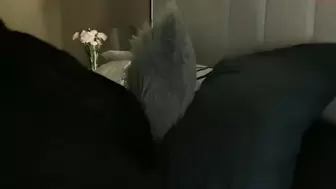 Search Results for angelglo pussy