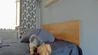 devinesex - [Chaturbate] Roleplay Sensual Real Slut