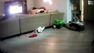 barbieandkenvegas - [Chaturbate] Stunning play Busty