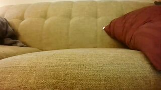 catnips_cabaret - [Chaturbate] Adult Lovely Amateur Mom