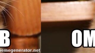 kathylovexxx - [Chaturbate] Sex Toys Free Porn xxxvideo