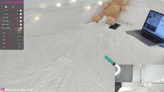 elizabeth_cat  20-10-2022 17-32