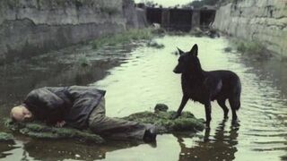 faith_chan  28-10-2022 10-47