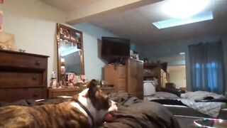 goodgirlcelestecat  12-11-2022 12-58