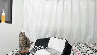 little_caro13 - [Chaturbate] Sweet Girl spy ride