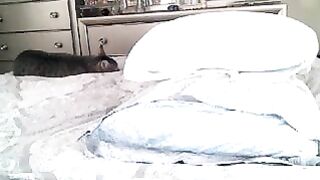 Katyykat - [Record Myfreecams Free Video] Wet Friendly Homemade