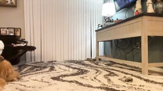 sallyssexypanties  02-12-2022 03-12