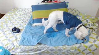 alicewonka  02-12-2022 22-50