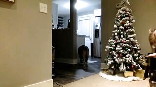 yogagirl777  Chaturbate  22-12-2022 00-24