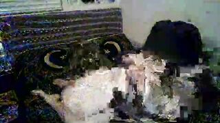 princesspumpkinbutt - [Chaturbate] lovers home alone Privat zapisi