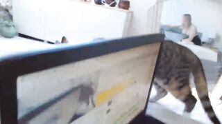 KatieBelle  Myfreecams  26-12-2022 01-31