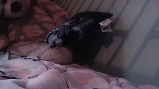 slutelena4fun - Private  [Chaturbate] Nora body-massage fat tight-pussy-fucked