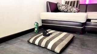 ibelivelove - Private  [Chaturbate] asmr licking tiny longlegs