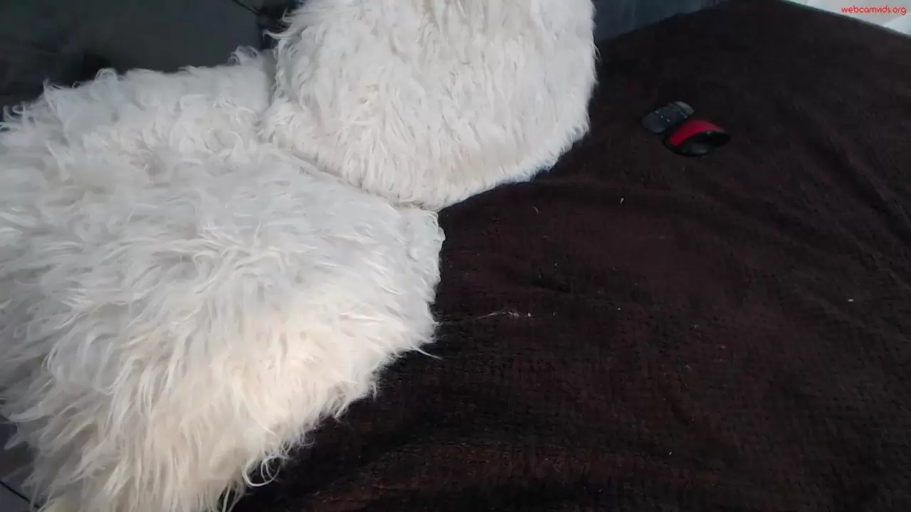 Sanlightxxx - Private [Chaturbate] chaturbate hard-porn tetas-grandes  -clinic