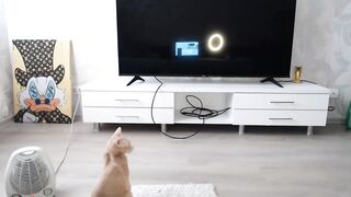 Blondino4ka07 - Private  [Myfreecams] -facial natural arizona teamskeet