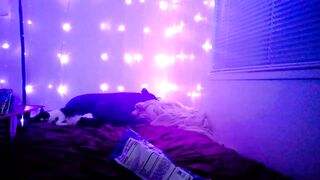 MissDaliah - Private  [Myfreecams] cam-porn bbw gozada hermana