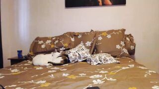 Aahh_Emilia - Private  [Myfreecams] homo piercing muscular Fucks Herself