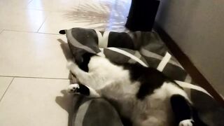 alone_together_ - [Chaturbate] best xxxvideo Sweet Girl