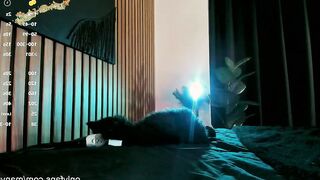 camilaramirez_ - Chatr Online Stream ftm fetish Streaming snapshot stockings