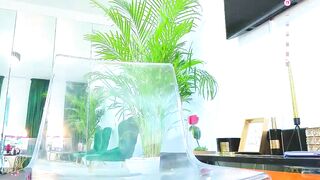 arabian_beautyy - Chaturbate Stream browneyes me Streamed session saliva