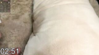 evafatcat - Chaturbate Models cuminpvt Virtual recording lactation foot