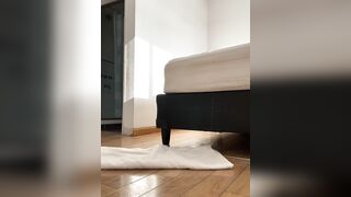 Danielaeliana - Stripchat Models latin young latin shower fingering