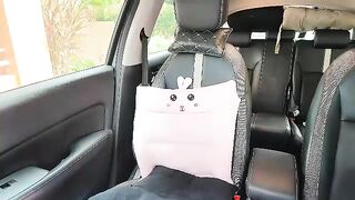 ellcrys - Chaturbate Models model Webcam footage strip highheels