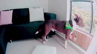 loveit_hermione - [Chaturbate] Interactive toy Hard Pvt romantic