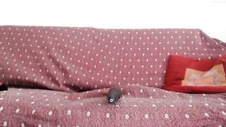 Bustysteffy - [Chaturbate] Crazyticket Webcam Recording Hidden Show