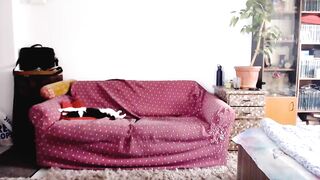 bustysteffy - [Chaturbate] fuck her hard real Wonderful