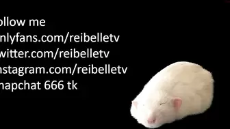 Reibelletv - [Chaturbate] Webcam Recording Hottest Webcam Babe ...